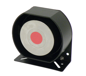 Głośnik M100W 