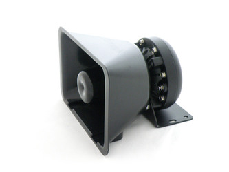 Speaker P100W