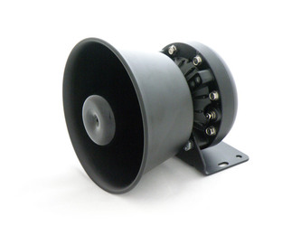 Speaker R100W