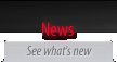 news333